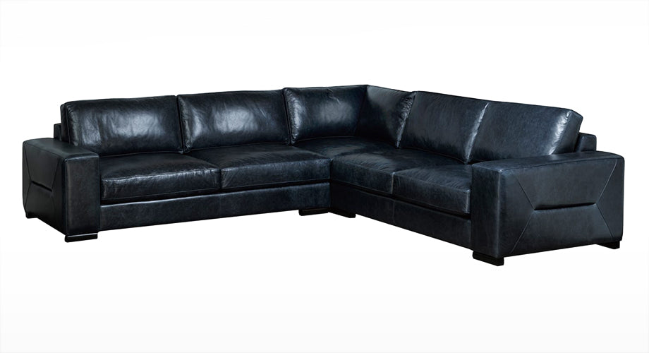 Hydrus Sectional